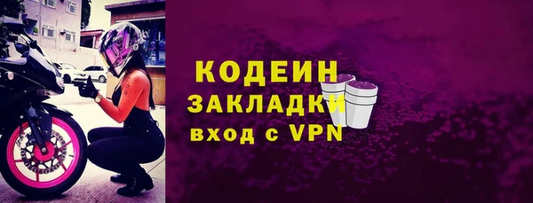 хмурый Алексин