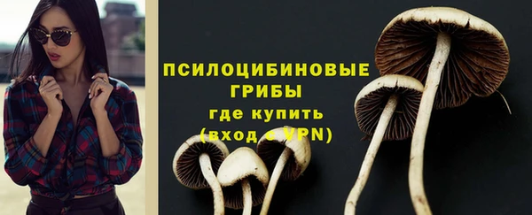 хмурый Алексин