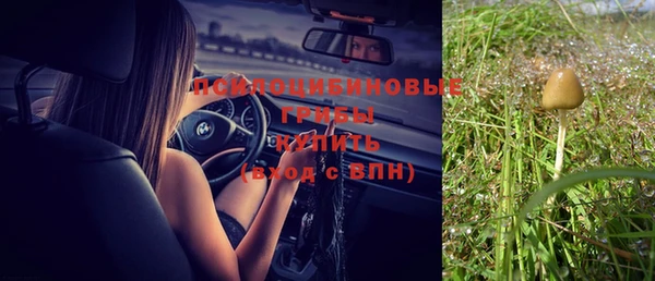 круглые Новодвинск