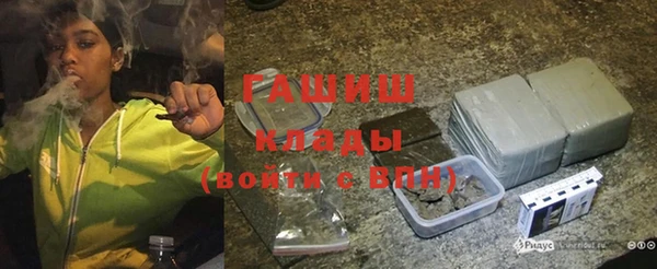 хмурый Алексин